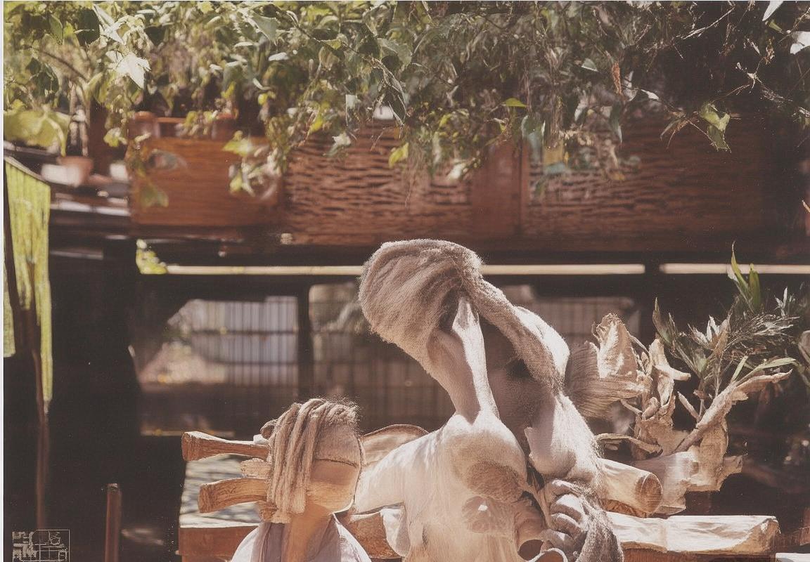 太阳队重建进行时：年轻力量崛起，挑战未来之路(图1)