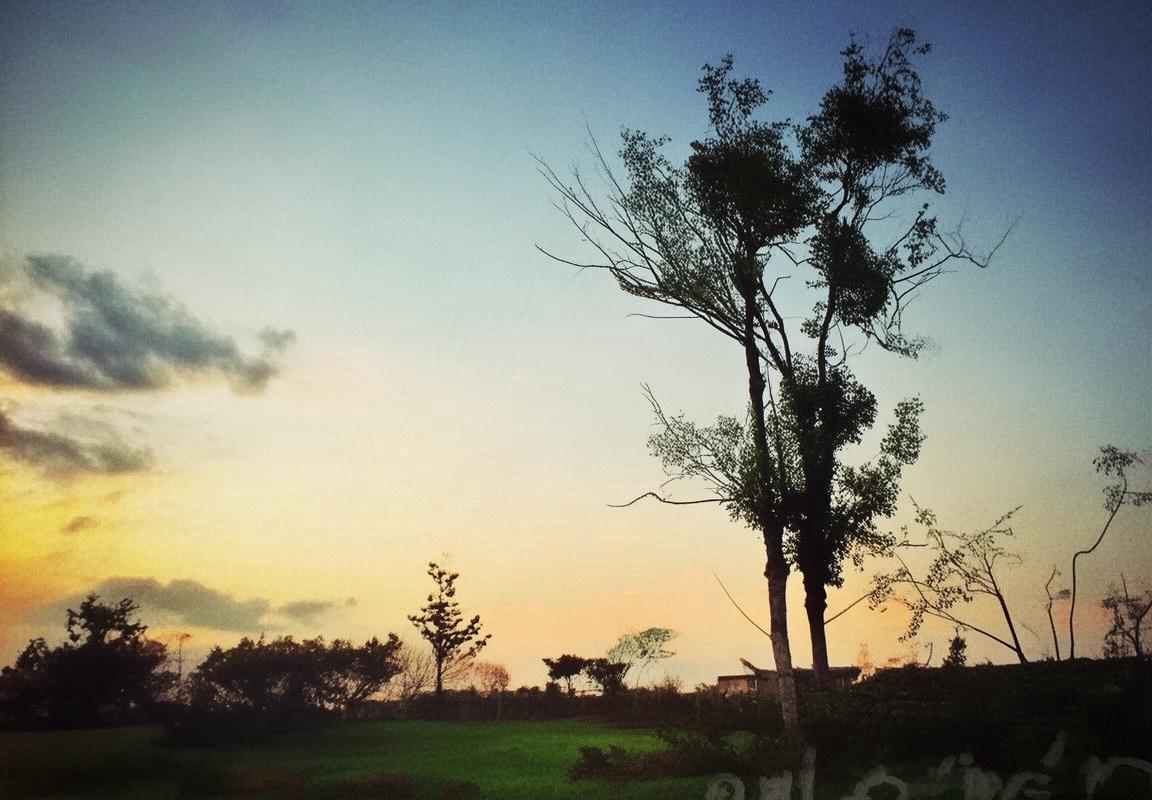 拜仁VS维拉：攻防对决解析(图2)